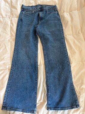 AYR The Hangout Jeans 31S Short High Rise Straight Leg Petite Denim